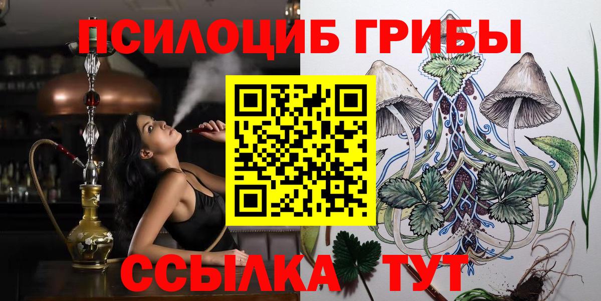 Брянск  Галлюциногенные грибы прущие грибы  Псилоцибиновые грибы мицелий  Вход с VPN 